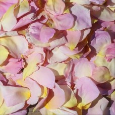 40cups Pastel Pink - Freeze Dried Rose Petals