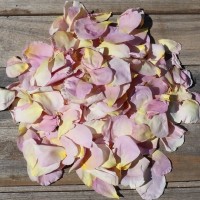 40cups Pastel Pink - Freeze Dried Rose Petals