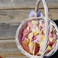 40cups Pastel Pink - Freeze Dried Rose Petals