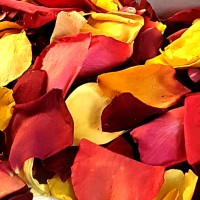 High Tea 4 Cups Freeze Dried Rose Petals