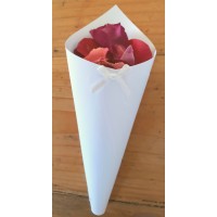 36 x Confetti throwing cones with rose petals & display stands