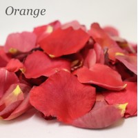 4 Cups - Freeze Dried Rose Petals